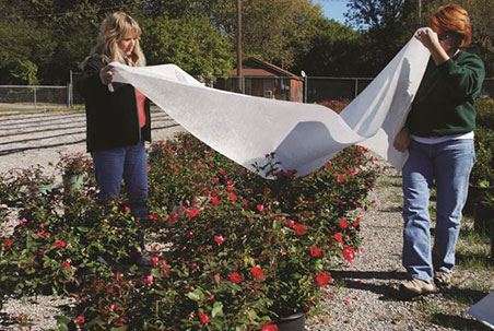 Dewitt Deluxe Plant Protection Fabric