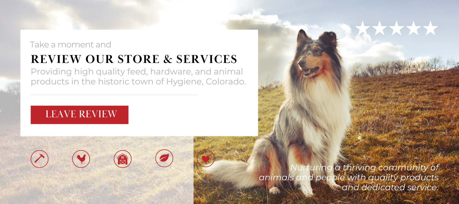 Take a moment and review our store and services. Providing high quality feed, hardware, and animal products in the historic town of Hygiene, Colorado. Nurturing a thriving community of animals and people with quality products and dedicated service. Leave Review button. Icons of a hammer, chicken, barn, leaf, and heart below the text. Background image of a dog sitting in a field