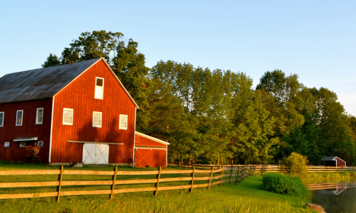 Barn