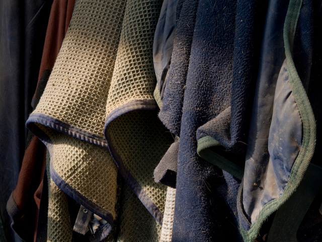 Dirty horse blankets hanging on stable wall waiting to go to Hygiene Feed to use their horse blanket cleaning service in Hygiene, CO