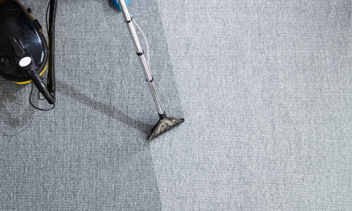 Overhead view of a carpet being cleaned