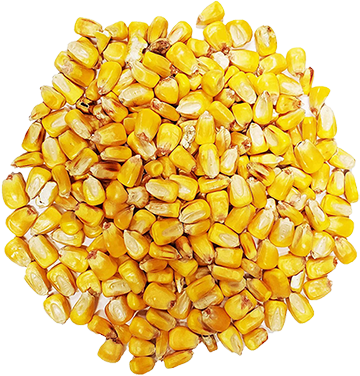 Rancher's Choice Whole Corn